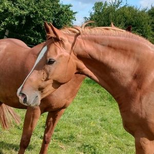 91b1d9fa-a1ae-4f39-a452-3aad07a7ffa4