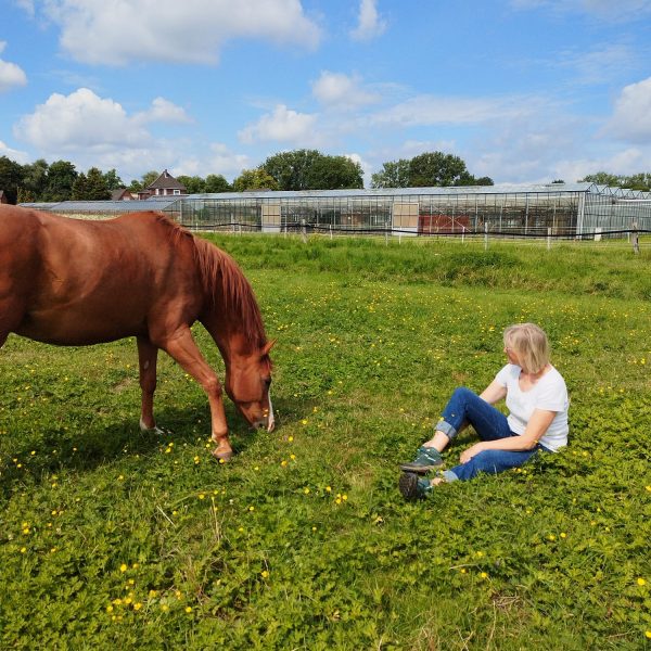 WhatsApp Image 2023-07-19 at 10.55.36