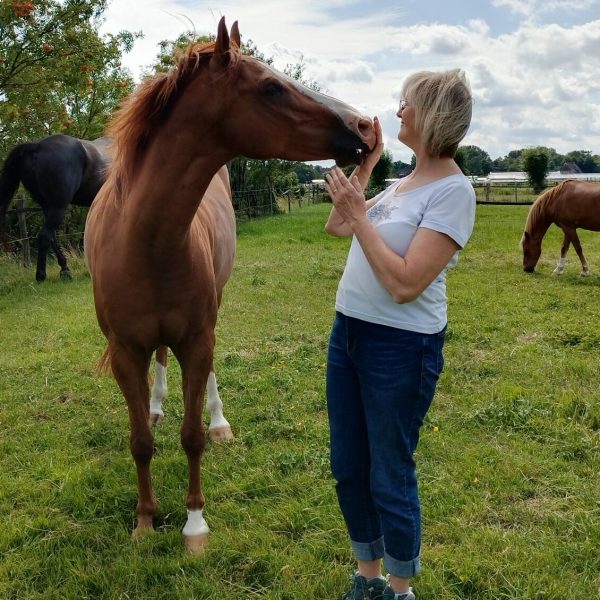 WhatsApp Image 2023-07-19 at 10.55.39