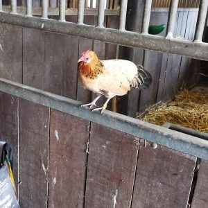 WhatsApp Image 2023-07-19 at 10.55.43