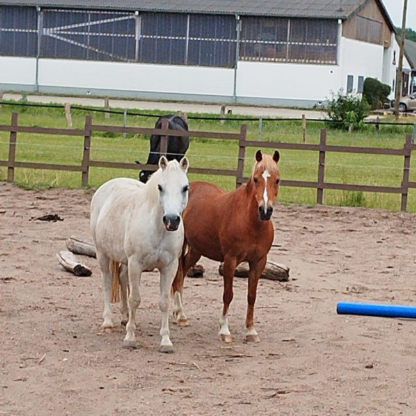 WhatsApp Image 2023-07-19 at 10.55.43-4