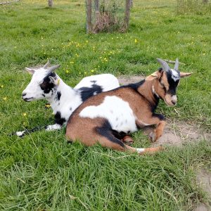 WhatsApp Image 2023-07-19 at 10.55.44-2