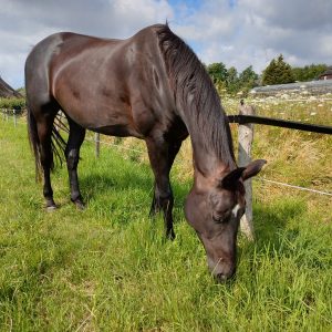 WhatsApp Image 2023-07-19 at 10.58.06