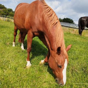 WhatsApp Image 2023-07-19 at 11.00.20