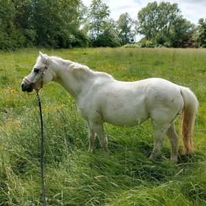 WhatsApp Image 2023-07-19 at 11.04.04