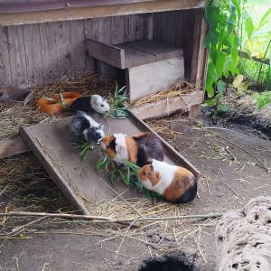 WhatsApp Image 2023-07-19 at 11.04.51