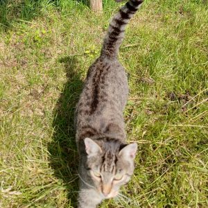 WhatsApp Image 2023-07-19 at 11.05.58