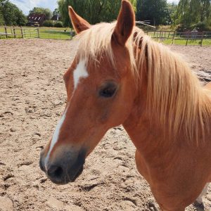 d9ec6737-7ceb-4657-8213-73706b4d9f4d